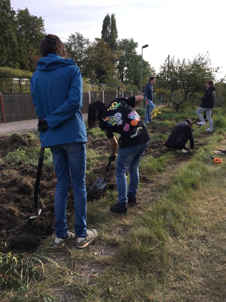 Jugendliche legen ein Beet in einem Kleingarten an